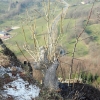 Schönberg 08.03.2014