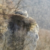 Schönberg 08.03.2014