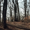 Schönberg 08.03.2014