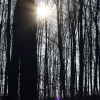 Schönberg 08.03.2014