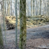 Schönberg 08.03.2014