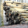 Schönberg 08.03.2014