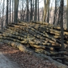 Schönberg 08.03.2014