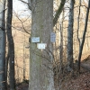 Schönberg 08.03.2014