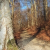 Schönberg 08.03.2014