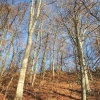 Schönberg 08.03.2014