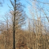 Schönberg 08.03.2014