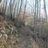 Schönberg 08.03.2014