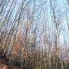 Schönberg 08.03.2014