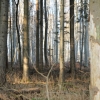 Schönberg 08.03.2014