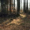 Schönberg 08.03.2014