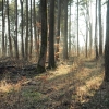 Schönberg 08.03.2014