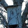 Schönberg 08.03.2014