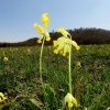 Schönberg 20.04.2016