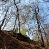 Schönberg 20.04.2016
