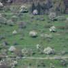 Schönberg 20.04.2016