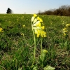 Schönberg 20.04.2016