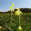 Schönberg 20.04.2016
