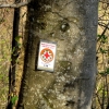 Schönberg 20.04.2016