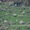 Schönberg 20.04.2016