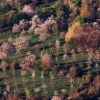 Schönbergturm Pfullingen 19.04.2015