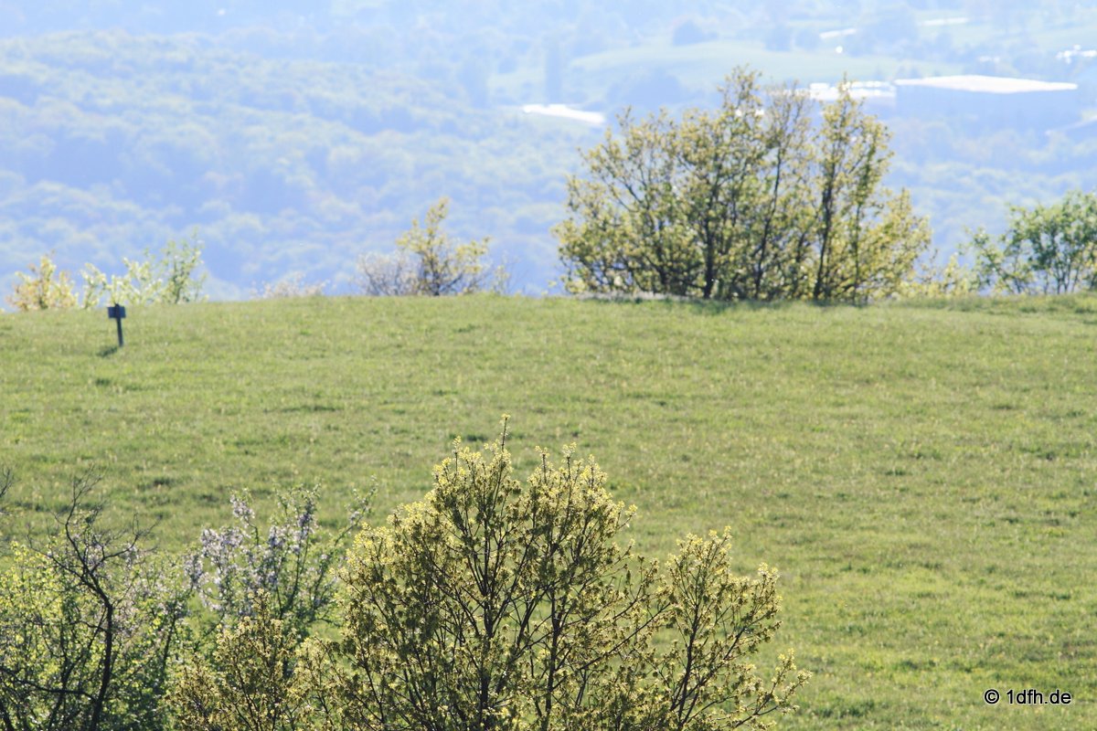 Schönbergturm Pfullingen