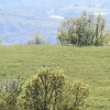 Schönbergturm Pfullingen