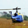 1dfh_0012