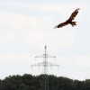 1dfh-segelflugmesse-22072012-076