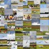 Segelflugmessse