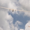 1dfh-segelflugmesse-22072012-041