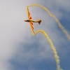 1dfh-segelflugmesse-22072012-058