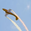 1dfh-segelflugmesse-22072012-059