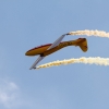 1dfh-segelflugmesse-22072012-060