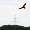 1dfh-segelflugmesse-22072012-076