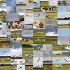 Segelflugmessse