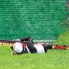 Sommerskispringen 13