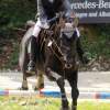 Reitturnier Pfullingen 17.08.2014