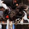 Reitturnier Pfullingen 17.08.2014