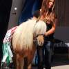 Reitturnier Pfullingen 17.08.2014