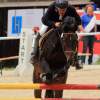 Reitturnier Pfullingen 17.08.2014