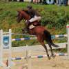 Reitturnier Pfullingen 17.08.2014