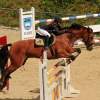 Reitturnier Pfullingen 17.08.2014