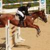 Reitturnier Pfullingen 17.08.2014