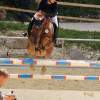 Reitturnier Pfullingen 17.08.2014