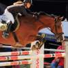 Reitturnier Pfullingen 17.08.2014