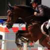 Reitturnier Pfullingen 17.08.2014