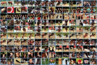 Reitturnier Pfullingen 17.08.2014