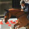Reitturnier Pfullingen 17.08.2014