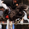 Reitturnier Pfullingen 17.08.2014